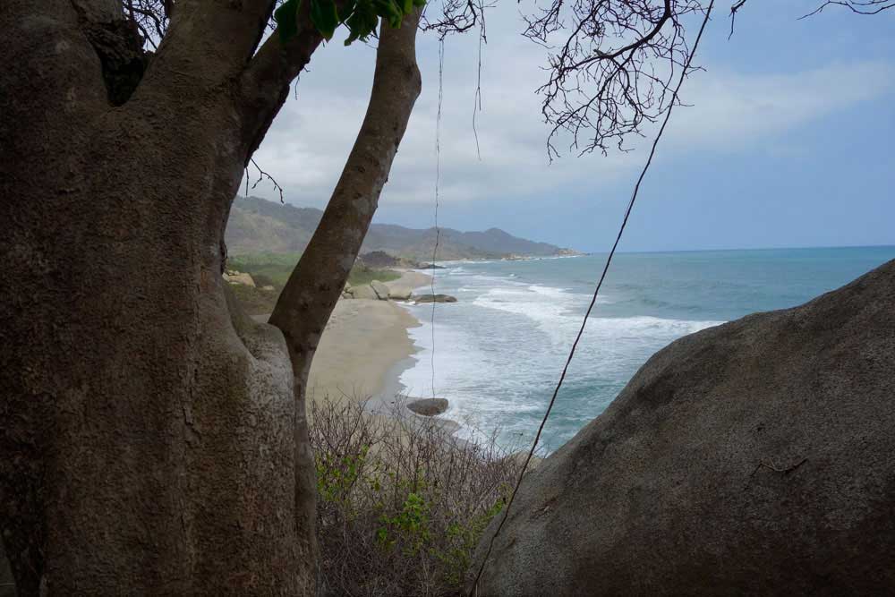 9tayrona